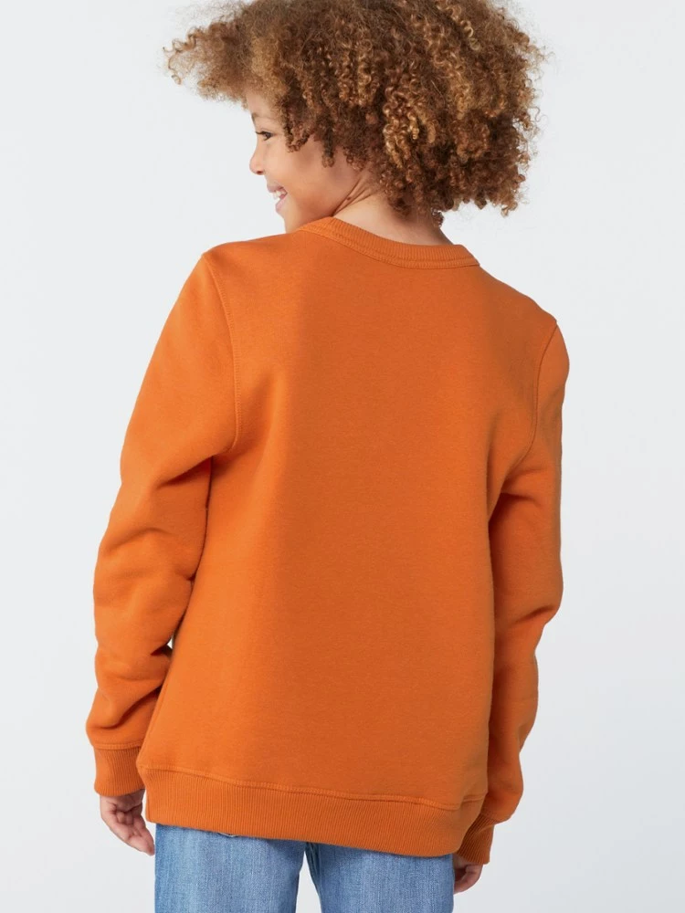 Rei Co-Op Patch Crew Kids' Sweatshirt 3 Rei Co-Op Patch Crew Kids' Sweatshirt - Image 3