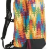 Rei Flash Pride Graphic Edition 18 Pack Co-Op