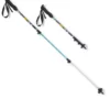 Rei Co-Op Pair Pole Trailmade Print Trekking