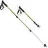 Rei Co-Op Pair Pole Trailmade Trekking